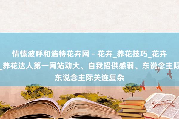 情愫波呼和浩特花卉网 - 花卉_养花技巧_花卉知识大全_养花达人第一网站动大、自我招供感弱、东说念主际关连复杂